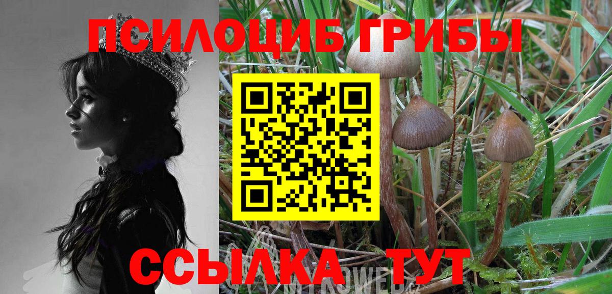 Галлюциногенные грибы MAGIC MUSHROOMS Касимов