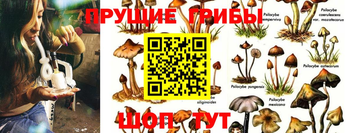 Касимов  Псилоцибиновые грибы MAGIC MUSHROOMS  Вход с VPN 